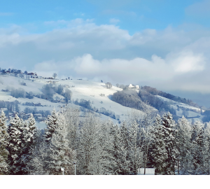 Schnee Wattenwil